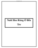 Nuôi Heo Rừng Ở Bến Tre