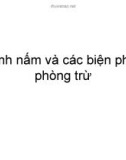 Bệnh nấm và các biện pháp phòng trừ