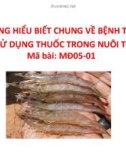 Bài giảng Những hiểu biết chung về bệnh tômvà sử dụng thuốc trong nuôi tôm