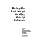 Indonesia và hướng dẫn khai thác gỗ tác động thấp