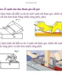 Bài giảng nguyên lý cắt gọt gỗ : Lý luận chung quá trình cắt gỗ part 3