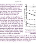 Bài giảng nguyên lý cắt gọt gỗ : Lực và hình thái phoi trong cắt gọt cơ bản part 5