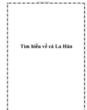 Tìm hiểu về cá La Hán