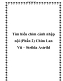 Tìm hiểu chim cảnh nhập nội (Phần 2) Chim Lan Vũ – Strilda Astrild