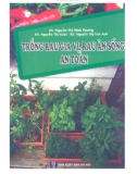 Kỹ thuật Trồng rau gia vị, rau ăn sống an toàn: Phần 1