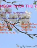 Bài thuyết trình ngoại khoa thú y