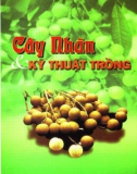 Cây nhãn và kỹ thuật trồng