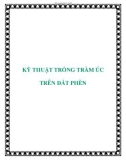 CÁC KỸ THUẬT TRỒNG TRÀM ÚC TRÊN ĐẤT PHÈN