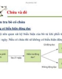 Một số vấn đề về quản lý sinh sản ở bò sữa part 9