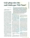 Giải pháp nào cho xuất khẩu gạo Việt Nam?