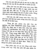 Bác sĩ cây trồng : Kỹ thuật gieo trồng và chăm sóc cây part 4