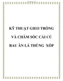 Kỹ thuật gieo trồng và chăm sóc cải củ