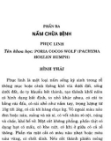 Cẩm nang nuôi trồng nấm ăn và nấm trị bệnh: Phần 2