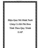 Hiệu Quả Mô Hình Nuôi Ghép Cá Rô Phi Đơn Tính Theo Quy Trình GAP