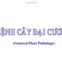 CÁC LOẠI BỆNH CÂY ĐẠI CƯƠNG