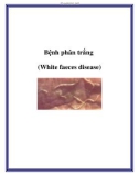 Bệnh phân trắng (White faeces disease)