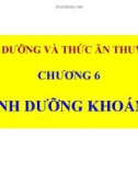 Dinh dưỡng và thức ăn thủy sản - Chương 6