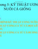 KỸ THUẬT ƯƠNG NUÔI CÁ GIỐNG