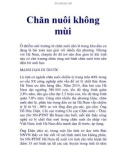 Chăn nuôi không mùi