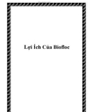 Lợi Ích Của Biofloc