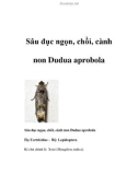 Sâu đục ngọn, chồi, cành non Dudua aprobola