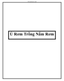 Ủ Rơm Trồng Nấm Rơm