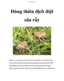 Dùng thiên địch diệt sâu rầy