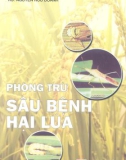 Kỹ thuật phòng trừ sâu bệnh hại lúa