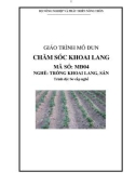 Giáo trình Chăm sóc khoai lang - MĐ04: Trồng khoai lang, sắn