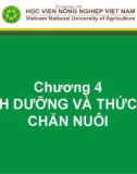 Bài giảng Nhập môn chăn nuôi - Chương 4: Dinh dưỡng và thức ăn chăn nuôi