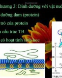 Bài giảng Thức ăn vật nuôi: Chương 3 - Dinh dưỡng với vật nuôi