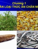 Bài giảng Thức ăn chăn nuôi: Chương 1 (2017)