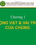 Bài giảng Nhập môn chăn nuôi - Chương 1: Động vật và vai trò của chúng