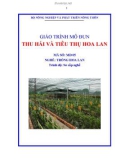 Giáo trình Thu hái và tiêu thụ hoa lan - MĐ05: Trồng hoa lan