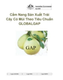 Cẩm Nang Sản Xuất Trái Cây Có Múi Theo Tiêu Chuẩn GLOBALGAP