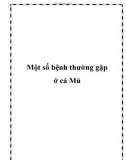 Một số bệnh thường gặp ở cá Mú