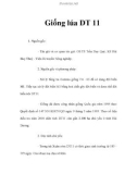 Giống lúa DT 11