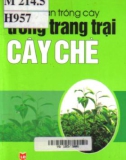 hướng dẫn trồng cây trong trang trại - cây chè: phần 1