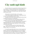 Cây xanh ngũ hành