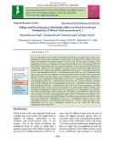 Tillage and post-emergence herbicides effect on weed growth and productivity of wheat (Triticum aestivum L.)