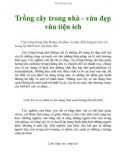 Trồng cây trong nhà - vừa đẹp vừa tiện íchCây trồng trong nhà không chỉ phục