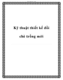 Các kỹ thuật thiết kế đồi chè trồng mới