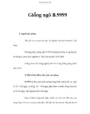 Giống ngô B.9999