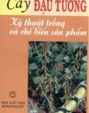 Cây đậu tương-Kỹ thuật trồng và chế biến sản phẩm