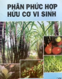 Hữu cơ vi sinh - Phân phức hợp: Phần 1