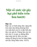 Một số sinh vật gây hại phổ biến trên hoa lan(tt)