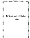 Các kỹ thuật nuôi Kỳ Nhông – Dông