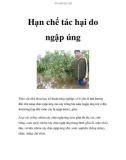 Hạn chế tác hại do ngập úng