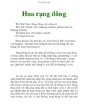 Hoa rạng đông