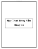 Quy Trình Trồng Nấm Đông Cô